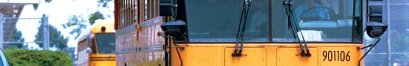 بالفيديو.. رجل يجر حافلة من طابقين بـ”خصلة” من شعره! 10 باص مدرسي