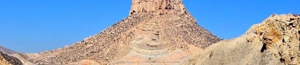 برديس جبل يشفي من الإيدز