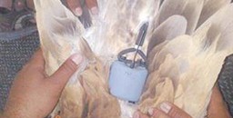 مواطن يصطاد طائر اسرائلي بالرهد 10 تجسس