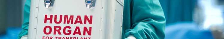 كائنات مجمدة منذ 42 ألف عام تعود إلى الحياة 10 تجميد اعضاء انسجة