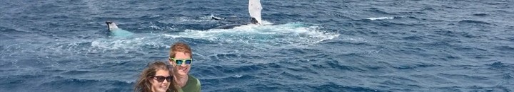 حوت يسبح بجوار شابين بالقرب من شاطئ مصري ! 10 حوت دمه تقيل