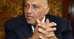 وزير خارجية مصر: سنسعى للحصول على حقنا في قضية «سد النهضة» 10 سامح شكري