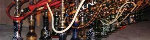 شيشة السعوديين