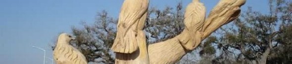 خريج هندسة ينحت بالألوان على أشجار النيم 10 طيور