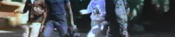 بعد العثور على 18 جثة في الفندق"القاعدة" تعلن مسؤوليتها عن هجوم فندق راديسون في مالي 10 مالي