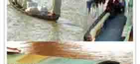 «فطور العريس» على مراكب نيلية 10 مراكب