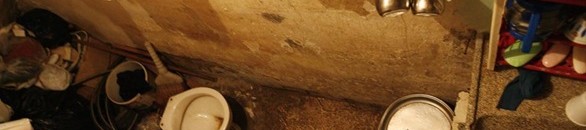 يقضون حاجتهم في العراء