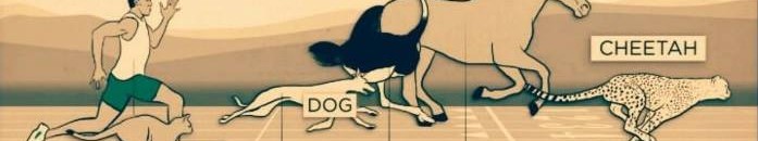 شاهد بالصور .. 4 «قدرات خارقة» للبشر انتصرت عليها الحيوانات: أسرع عداء في التاريخ سبقته «قطة» 13 12246606 10153617253958190 6754721778672190150 n