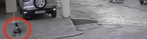 "طفل السطح".. مشهد مرعب انتهى بعمل "بطولي" 10 12729191