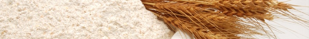 الغرب يستخدم “سلاح القمح” الأوكراني ضد الحكومة السودانية 10 97e8527feaf77a97fc38f34216141515