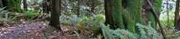 شاهد | فيديو مُرعب وحقيقي .. الأرض تتنفس مثل الإنسان!! 10 9998649627