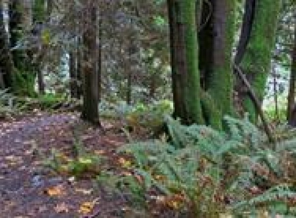 شاهد | فيديو مُرعب وحقيقي .. الأرض تتنفس مثل الإنسان!! 1 9998649627