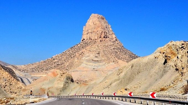 برديس جبل يشفي من الإيدز