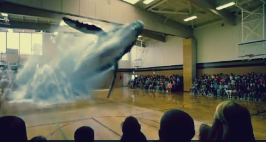 بالفيديو.. فقرات سحرية بأحدث تقنيات العروض ثلاثية الأبعاد: دولفين يخرج من الأرض 1 دولفين يخرج من الأرض