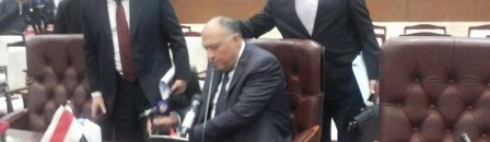 سامح شكري يهزم إثيوبيا بغزوة ميكروفون الجزيرة.. تحيا مصر! 10 سامح شكري الجزيرة