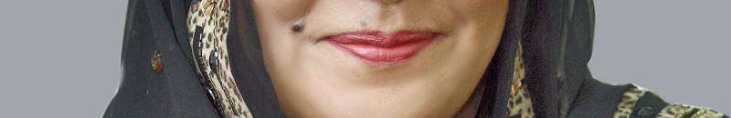 الحكومة تتعهد بتنفيذ مقترحات دمج المؤسسات الصحفية أو إعادة الهيكلة 10 عايدة عبدالحميد القمش