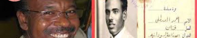 عزالدين مصطفى