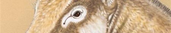 اكتشاف كائن غريب من عصور ما قبل التاريخ 10 392516 0