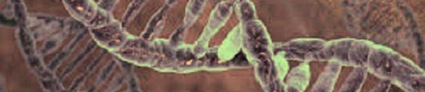 55444a2a 6dca 4020 b061 b53123d1d8c6 16x9 600x338