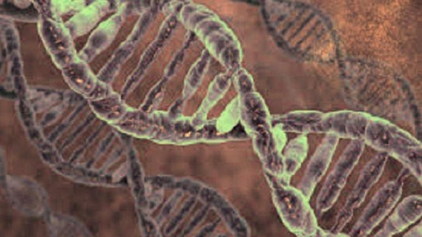 55444a2a 6dca 4020 b061