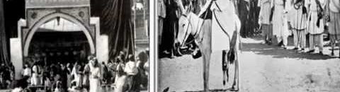 الرئاسة السودانية تأمر بمراجعة تاريخ آخر سلاطين دارفور 10 علي دينار