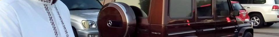 12476210 10153443338403335 182655245 n