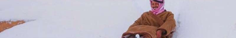 متزلج وقع رأسا على عقب فاختنق بكتلة ثلج 10 56aa8b2aafc08