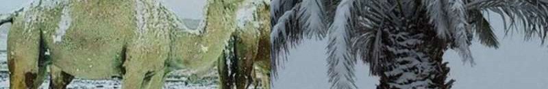 صفر درجة مئوية.. الأرصاد السعودية تحدد المنطقتين الأقل والأعلى حرارة بالمملكة 10 56aa8b3035950