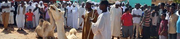 شيخ الامين المطرود من الامارات يظهر في الكلاكلات.. رغم ذبح النياق بدأت في الكلاكلة المشكلات 13 الجيلي2