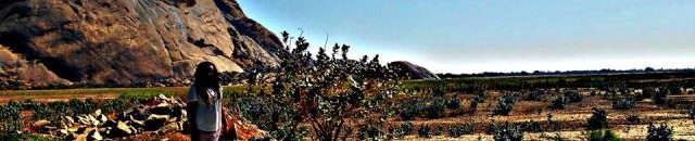 حمى مجهولة تضرب أجزاءً من مدينة “كسلا” وتثير الهلع وسط المواطنين 10 كسلا4