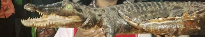 آخر ما خطته الممثلة السودانية الراحلة “مشاعر سيف الدين” 10 mashaer22