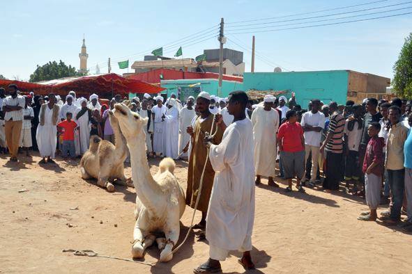 شيخ الامين المطرود من الامارات يظهر في الكلاكلات.. رغم ذبح النياق بدأت في الكلاكلة المشكلات 1 الجيلي2
