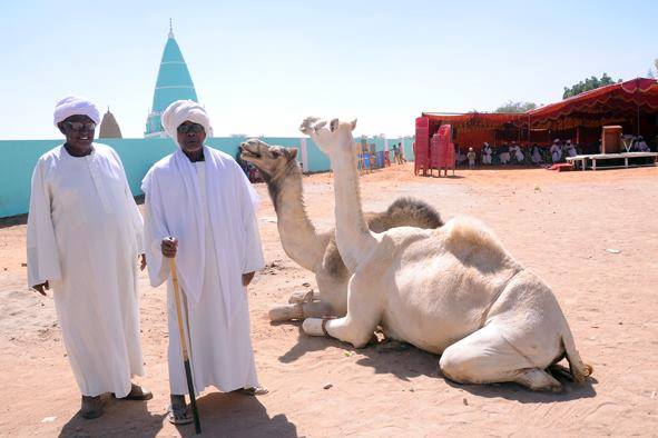 شيخ الامين المطرود من الامارات يظهر في الكلاكلات.. رغم ذبح النياق بدأت في الكلاكلة المشكلات 4 الجيلي3