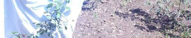 منطقة واوسي..كابوس مخلفات المصانع وضيـاع الأراضــي (1) 10 تراب