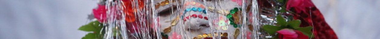 طقوس الزواج الغريبة بقرية مسلمة في بلغاريا3