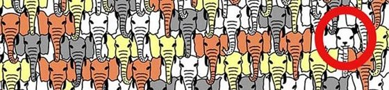 لغز يثير جنون مستخدمي الإنترنت