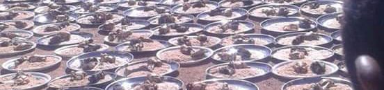 بين سنن البرامكة والتكايا والأمم المتحدة 10 12805877 1020514024653204 7054487446552051167 n