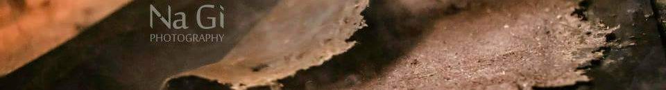 73 يوما على رمضان والشهر يبدأ فلكيا 24 أبريل .. اعرف التفاصيل 10 13076902 1293213597373141 361085733288676705 n