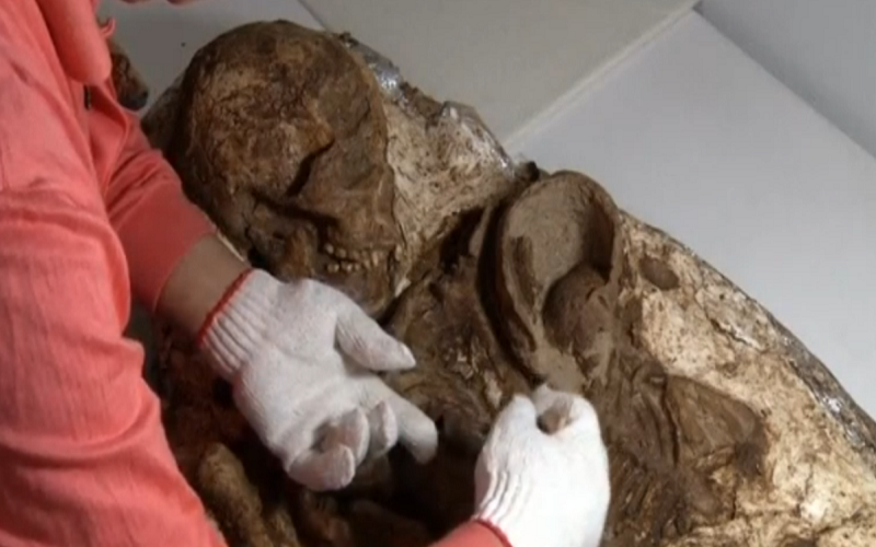 1461685199os2604201615 أم تحضن