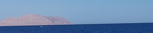 داعية سلفي مصري: لا مانع من إعطاء تيران وصنافير للسعودية لصالح الأمة الإسلامية 10 cbbfcd55 15cb 4070 8d99 4325c6e196a7