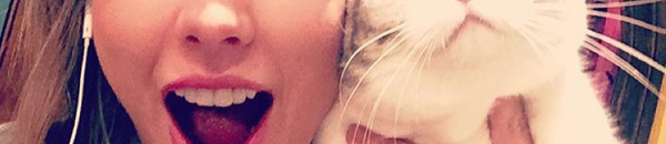 بالفيديو.. حديث تعارف بين “أبو سن” وفتاة سورية يتحول إلى شجار وسخرية بينهما 10 تصوير سيلفي مع القطط قط فتاة