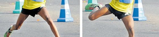 بالفيديو .. كلب يقتحم ملعباً خلال مباراة ويقتنص الكرة من اللاعبين ويضعها في فمه! 10 عداء سيئ الحظ يخسر ماراثون بعدما هاجمه كلب