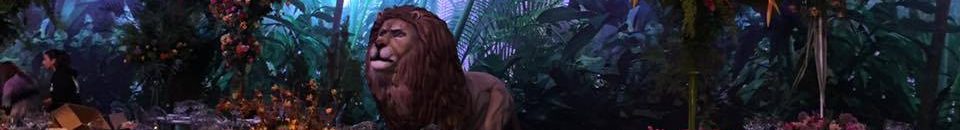 حيوانات تحولت إلى الحياة الليلية لسبب غريب! 10 13094279 10154198692993385 432737812771989369 n