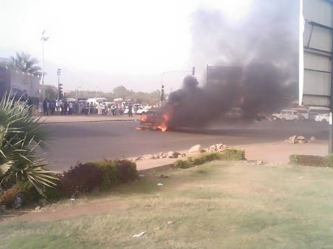 13124769 931942020256410 3509115464735118345 n