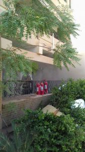 بالصور : قناة الشروق تعاود البث التدريجي للأخبار بعد الحريق !! 3 13173748_10206189012620312_4157735679232513927_n