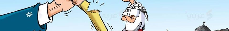 13177911 1167781626632070 8003317753255274335 n