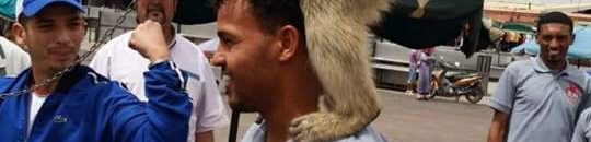 13220136 1214787681894760 255546817 n