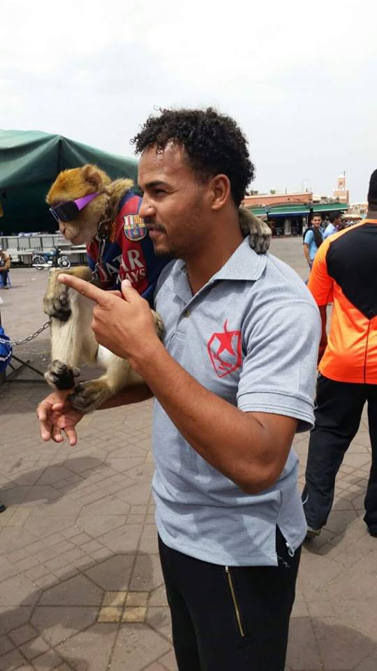 شاهد بالصور.. لاعبو المريخ السوداني يستعينون بالقردة والثعابين لهزيمة المراكشي 2 لاعبو المريخ يستعينون بالقردة والثعابين لهزيمة المراكشي