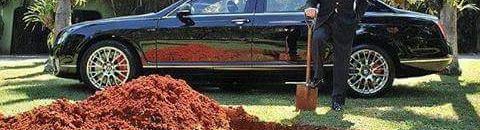 13244810 1548916492076443 7829534770175574691 n