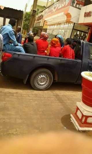 13263714 827477497384089 799519315575830014 n